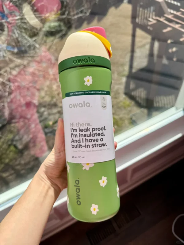 Insulated stainless steel water bottle with closed straw lid