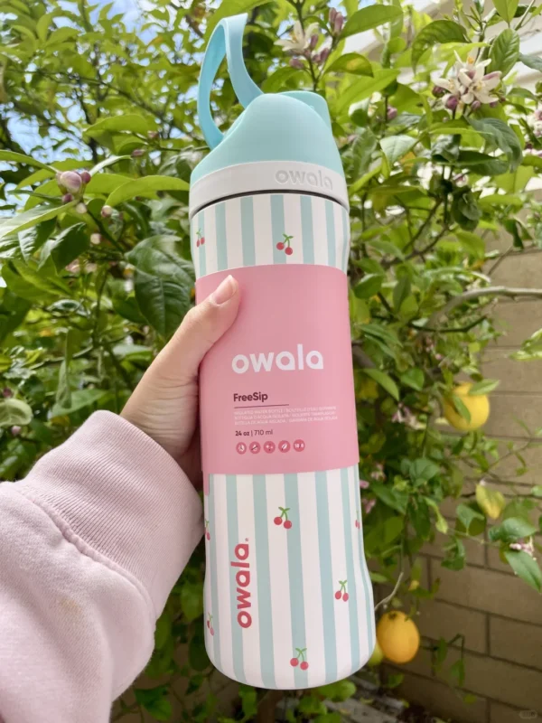 Owala FreeSip insulated stainless steel water bottle with built-in straw and protective push-button lid. BPA-free.