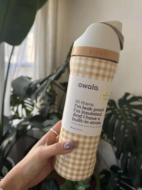 Insulated stainless steel water bottle with closed straw lid